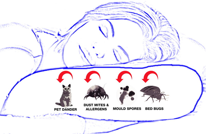 Anti-Allergy Pillow Covers block dust mites and their allergens, pet allergens, most mould spores and also, bed bugs.