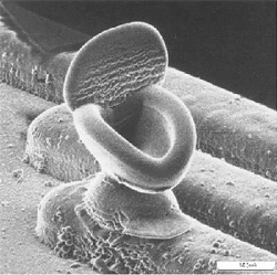 Electron nanoshot of toilet taken by nanotechnologist Aito Takahashi
